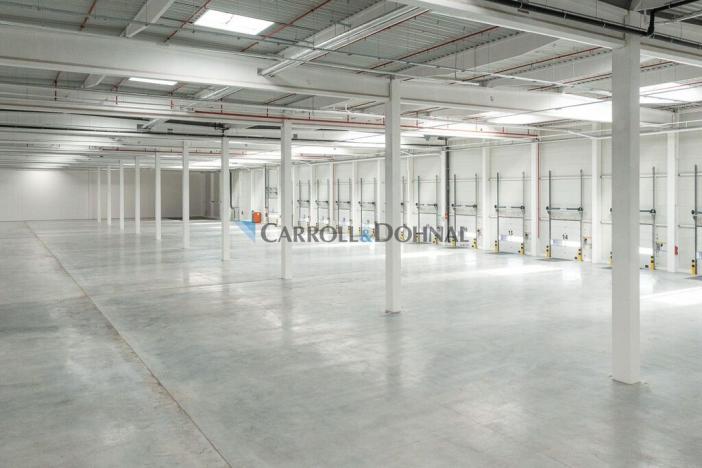 Pronájem skladu, Ostrava - Vítkovice, Halasova, 15470 m2