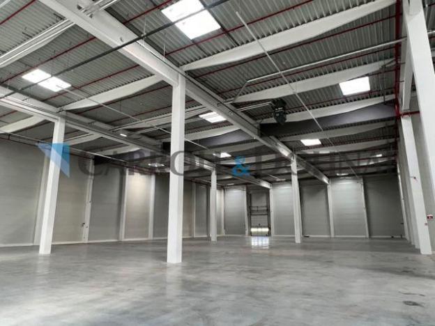 Pronájem skladu, Ostrava - Vítkovice, Halasova, 10275 m2