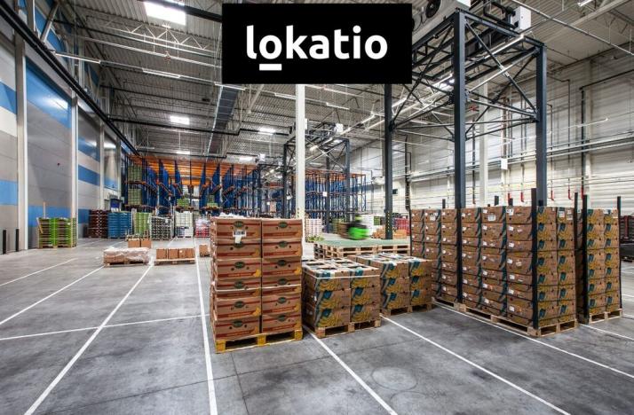 Pronájem skladu, Divišov, 6694 m2