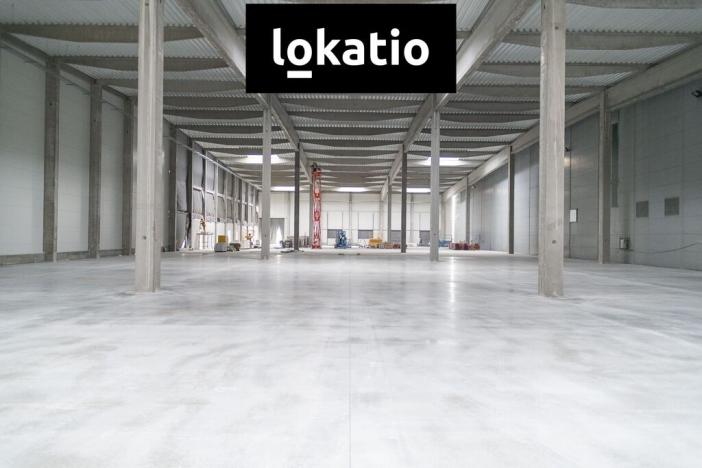 Pronájem skladu, Divišov, 14159 m2