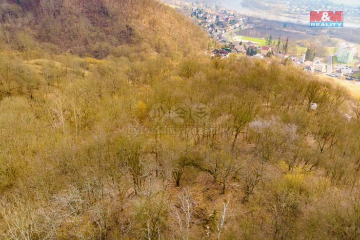 Prodej pozemku, Ústí nad Labem - Mojžíř, 8537 m2