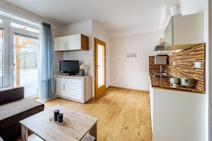 Prodej bytu 1+kk, Lipno nad Vltavou, 41 m2