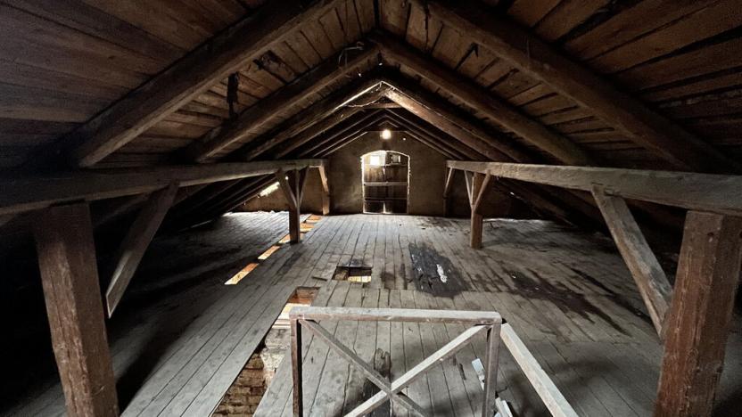 Prodej chalupy, Jiříkov, Svobodova, 477 m2