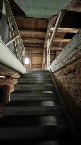 Prodej chalupy, Jiříkov, Svobodova, 477 m2