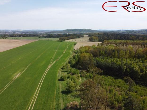 Prodej pozemku pro bydlení, Bítouchov, 950 m2