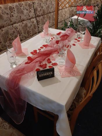 Prodej ubytování, Studénka, Malá strana, 600 m2