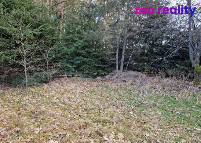 Prodej pozemku pro bydlení, Chlum u Třeboně, 665 m2