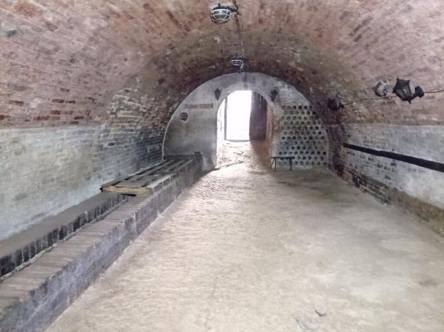 Prodej vinného sklepa, Brod nad Dyjí, 90 m2