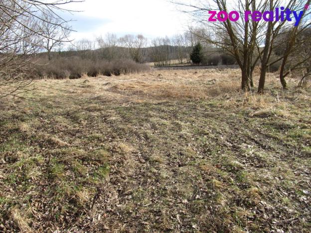 Prodej trvalého travního porostu, Kájov, 11151 m2