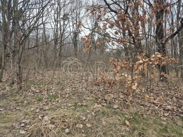 Pronájem pozemku, Praha - Háje, 2000 m2