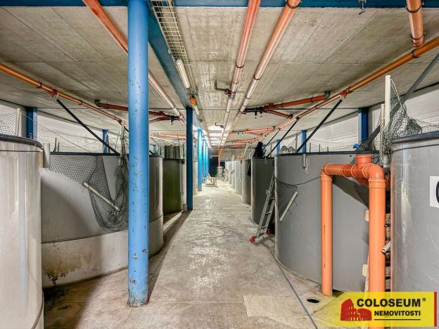 Prodej výrobních prostor, Nedvědice, 1382 m2