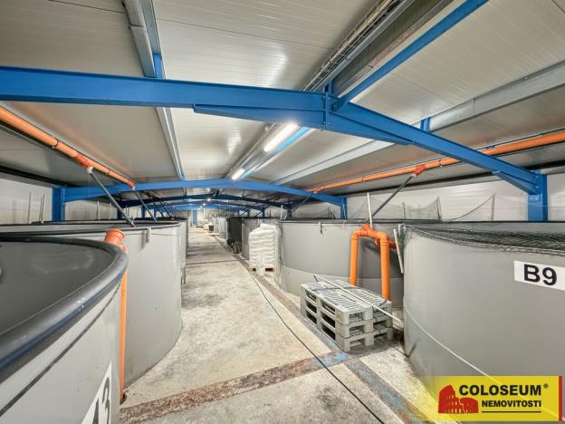 Prodej výrobních prostor, Nedvědice, 1382 m2