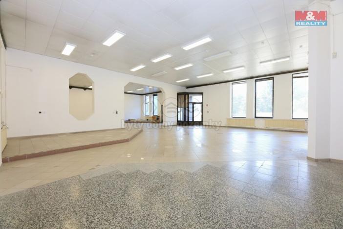 Pronájem obchodního prostoru, Staré Město, Brněnská, 607 m2