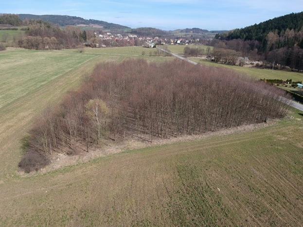 Prodej pozemku pro komerční výstavbu, Čkyně, 10200 m2