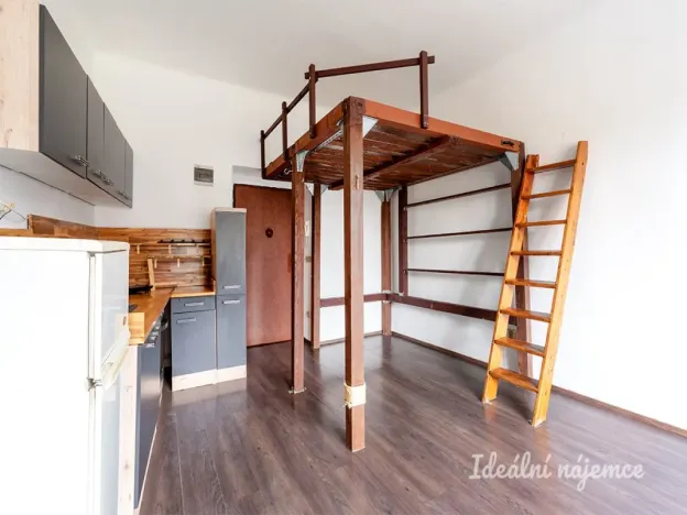 Pronájem bytu 1+kk, Praha - Michle, Michelská, 25 m2