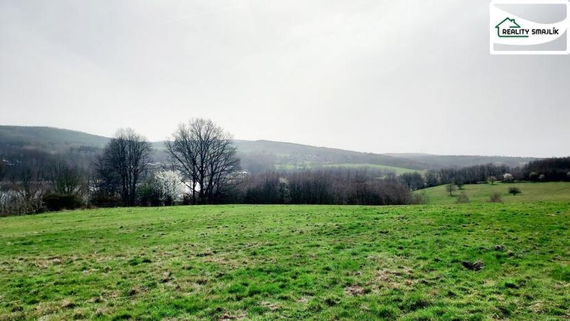 Prodej pozemku, Cheb - Cetnov, 11773 m2