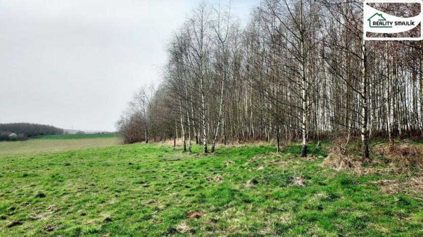 Prodej pozemku, Cheb - Cetnov, 11773 m2