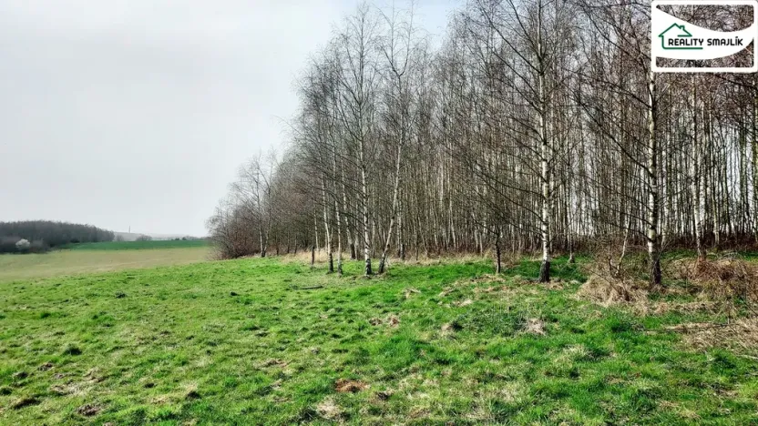 Prodej pozemku, Cheb, Nad Jezem, 11773 m2