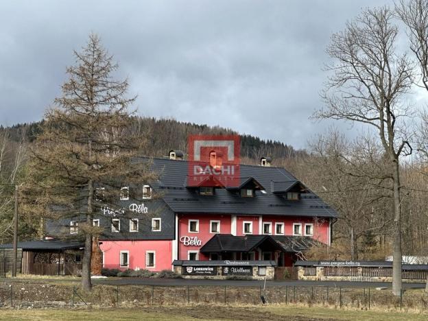 Prodej ubytování, Bělá pod Pradědem, 886 m2