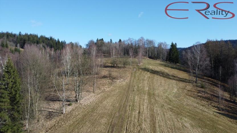 Prodej trvalého travního porostu, Janov nad Nisou - Hraničná, 2521 m2