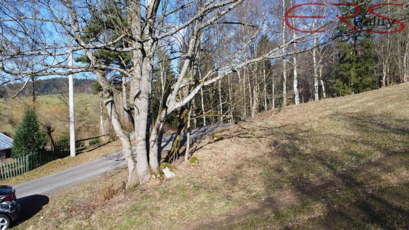 Prodej trvalého travního porostu, Janov nad Nisou - Hraničná, 2521 m2