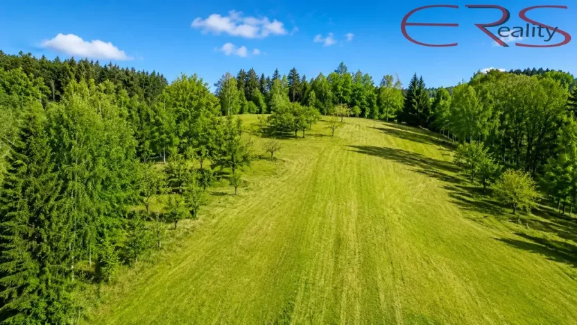 Prodej trvalého travního porostu, Janov nad Nisou - Hraničná, 2521 m2