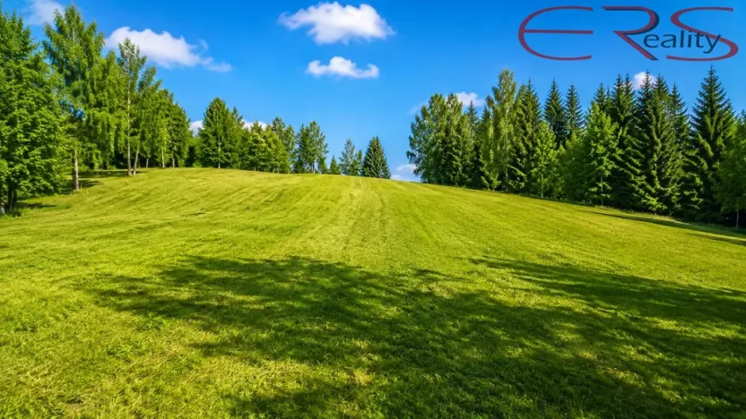 Prodej trvalého travního porostu, Janov nad Nisou - Hraničná, 2521 m2