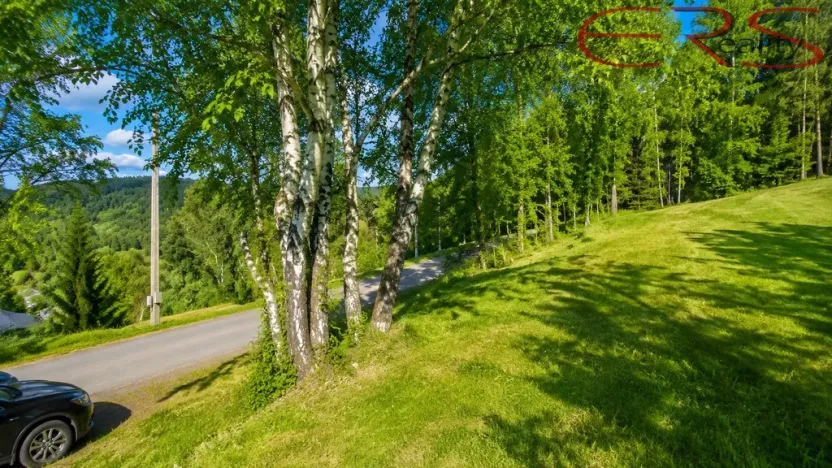 Prodej trvalého travního porostu, Janov nad Nisou - Hraničná, 2521 m2