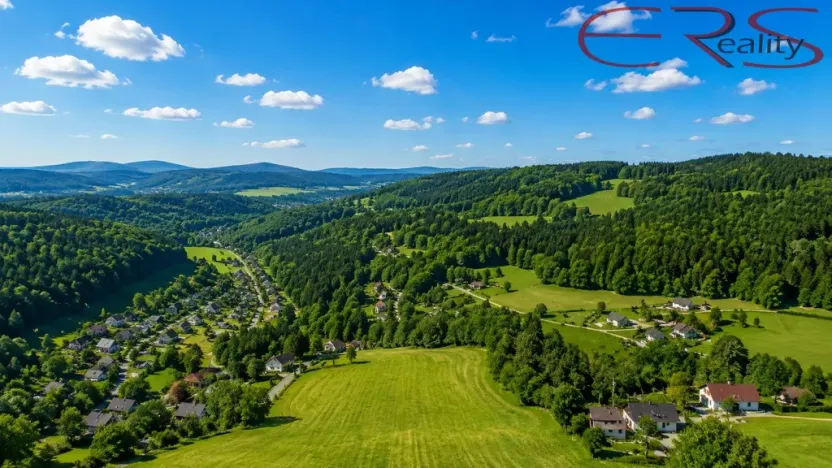Prodej trvalého travního porostu, Janov nad Nisou - Hraničná, 2521 m2
