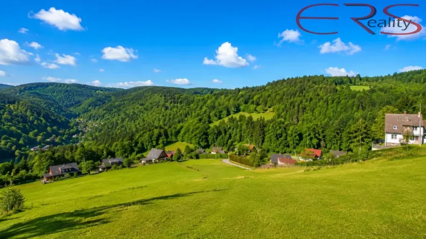 Prodej trvalého travního porostu, Janov nad Nisou - Hraničná, 2521 m2