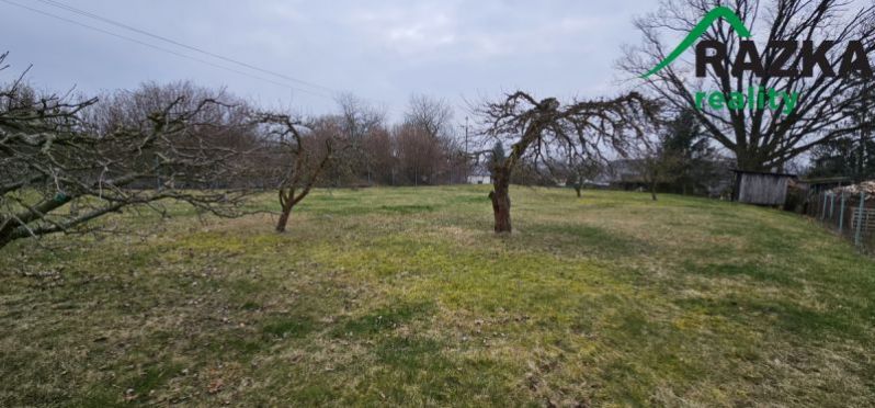 Prodej pozemku pro bydlení, Bor - Čečkovice, 1824 m2