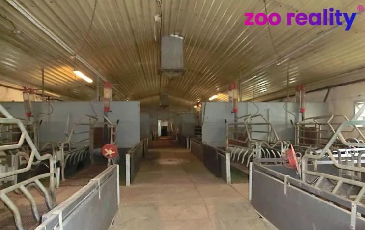 Prodej zemědělského objektu, Majdalena, 2000 m2