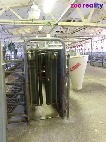 Prodej zemědělského objektu, Majdalena, 2000 m2