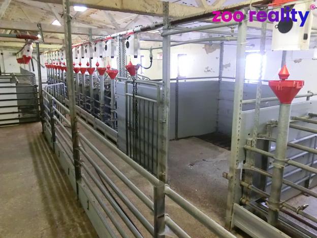 Prodej zemědělského objektu, Majdalena, 2000 m2