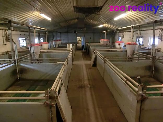 Prodej zemědělského objektu, Majdalena, 2000 m2