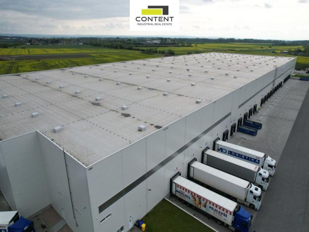 Pronájem skladu, Dašice, Křičenského, 5000 m2