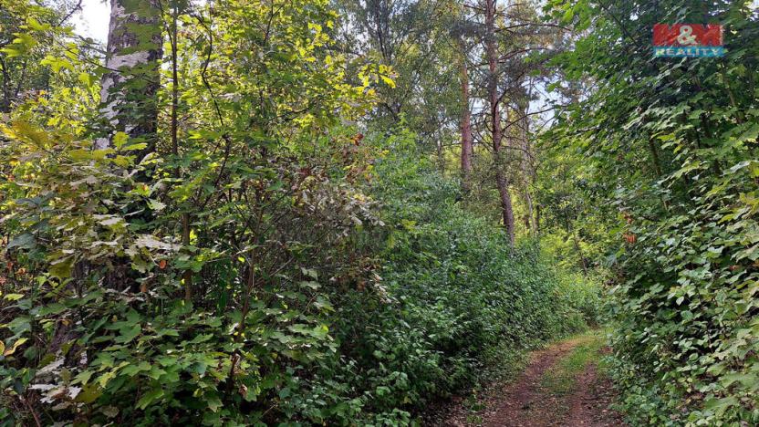 Prodej pozemku pro bydlení, Úštěk, 10875 m2