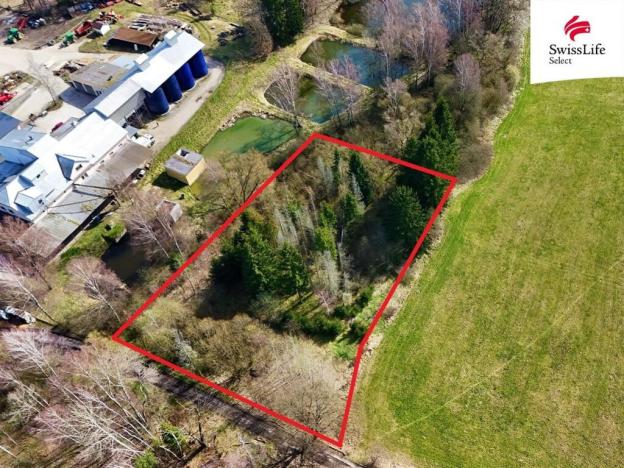 Prodej lesa, Rodvínov, 4442 m2