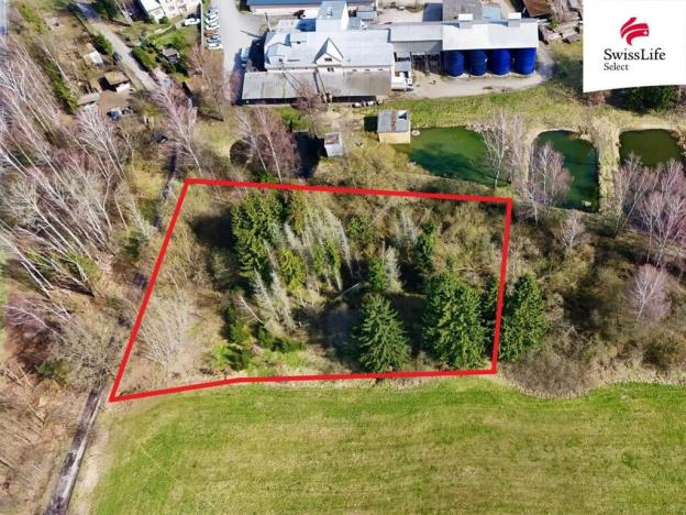 Prodej lesa, Rodvínov, 4442 m2