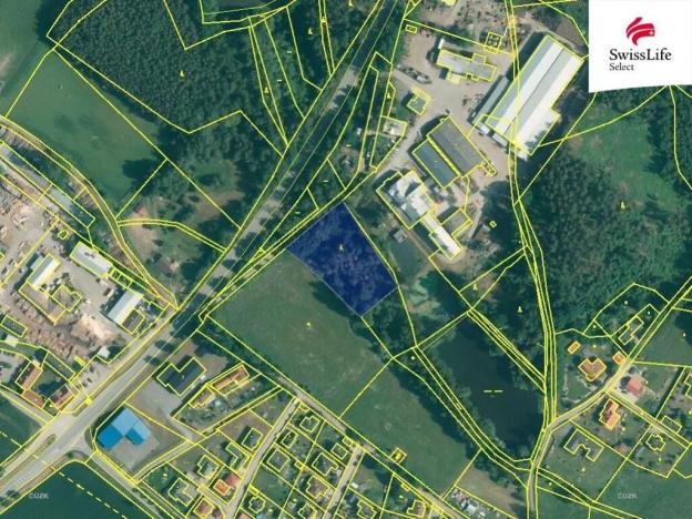 Prodej lesa, Rodvínov, 4442 m2