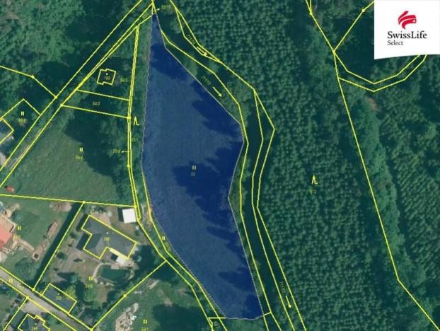 Prodej trvalého travního porostu, Rodvínov, 5835 m2