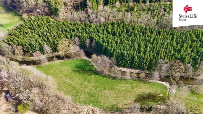 Prodej trvalého travního porostu, Rodvínov, 5835 m2