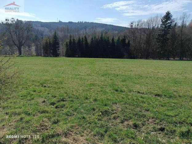 Prodej zemědělské půdy, Oznice, 6598 m2