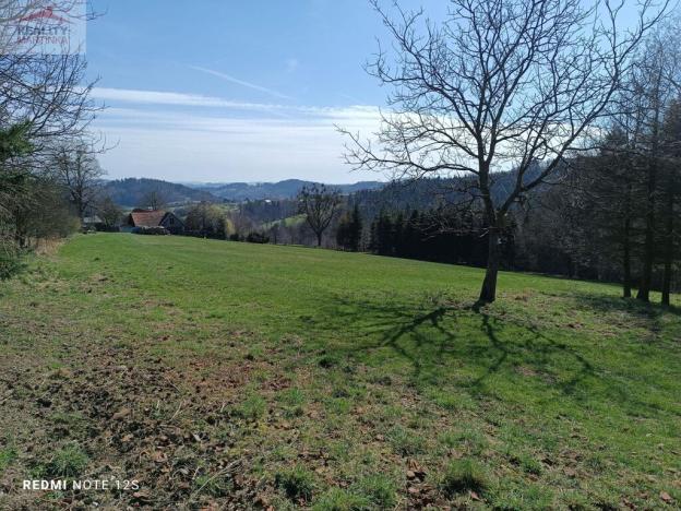 Prodej zemědělské půdy, Oznice, 6598 m2