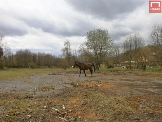 Prodej zemědělské usedlosti, Šternberk - Dalov, 4507 m2