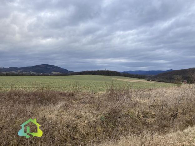 Prodej pozemku pro bydlení, Velemín - Oparno, 2226 m2