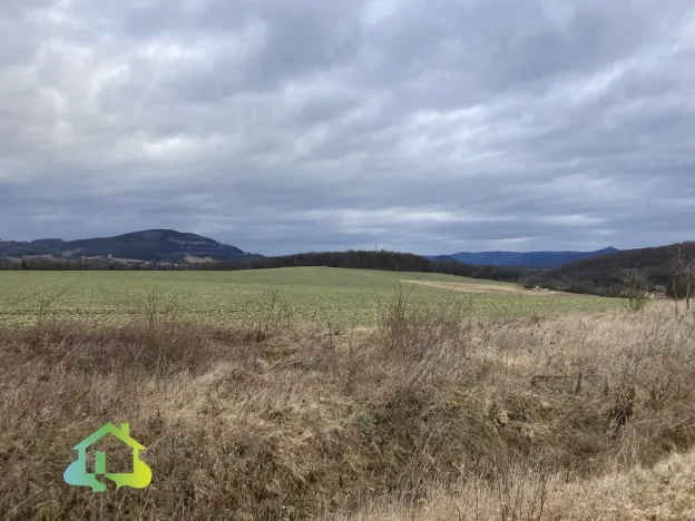 Prodej pozemku pro bydlení, Velemín - Oparno, 2226 m2