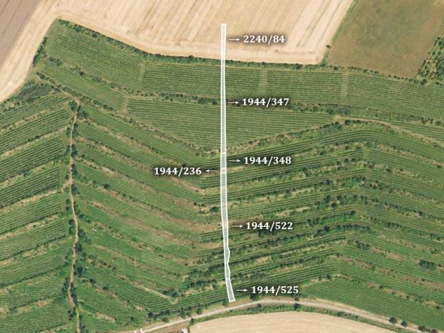 Prodej zemědělské půdy, Morkůvky, 2424 m2