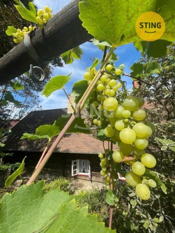 Prodej chalupy, Bystřička, 170 m2