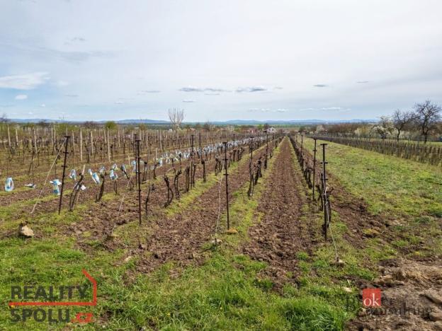 Prodej pozemku, Prušánky, Nechory, 1280 m2